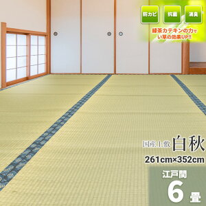 Igusa WorldƎ̗Β! wHx Y ]ˊ 6 261×352cmyoڐD ~   J[ybg }bg~ 䑐 C O  Y100% 6 Y~  ̓