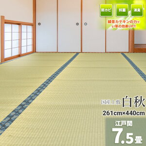 Igusa WorldƎ̗Β! wHx Y ]ˊ 7.5 261×440cmyoڐD ~   J[ybg }bg~ 䑐 C O  Y100% 7.5 7 Y~  