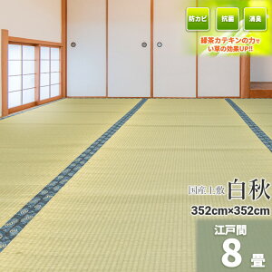 Igusa WorldƎ̗Β! wHx Y ]ˊ 8 348×352cmyoڐD ~   J[ybg }bg~ 䑐 C O  Y100% 8 Y~  ̓