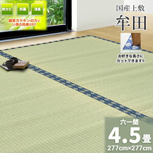 ГƎ̗ΒJeLtHyZԁ@4.5@277cm×277cmzt[JbgΉ Y @~wcx Βt ̓Ăh~   R E L      