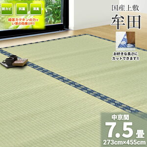 ГƎ̗ΒJeLtHyԁ@7.5@273cm×455cmzt[JbgΉ Y @~wcx Βt ̓Ăh~   R E L      