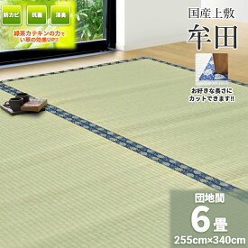 自社独自の緑茶カテキン吹付加工【団地間　6畳　約255cm×340cm】フリーカット対応 国産 　上敷き『牟田DX』 緑茶吹付 畳の日焼け防止 涼しい 除湿 抗菌 殺菌 消臭 いぐさ い草 ござ 茣蓙 御座 上敷き カッター ハサミ　緑茶　カテキン