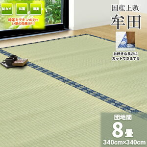 ГƎ̗ΒJeLtHyYnzySESIЍHꐻzŃJbgł鎅D ~iׂjucv340×340cm(cn8jy\Ɠ~zy