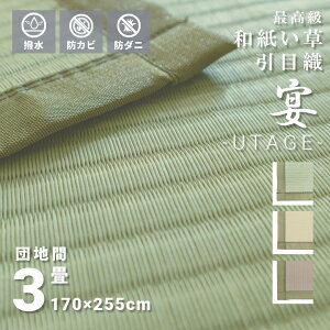 ɂ ȒP  ڐD a~  3 cn 170×255cm { ` I[V[Y n w A͕ʓr܂x@Vv@O[