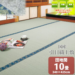 �y�����z �Β� �J�e�L�� ���t���H �y�c�n�� 10��z ���� ��~�� �u���v ���\�Ɠ��������D��~ 340×425cm ����Ȃ����\��t �y���������I�z ���c�T�C�Y �ܘZ�� 10�� ���~��