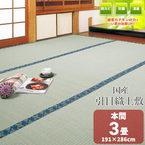 yYz D ~  3 y{ 3 191cm×286cmz wx  VR C 䑐 O ~ ̏ɕ~ O Rf  ~ t[O  ݁@Β