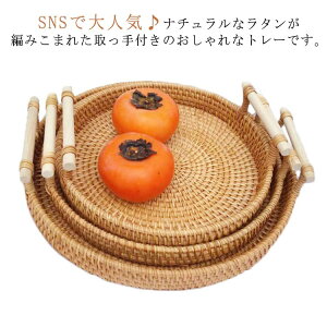 ^gC gC 28cm 22cm JtF nht g[ k ƃJtF ~ڂ oXPbg ی^ D fBXvCgC  24cm ؍G ʕoXPbg َqg[  