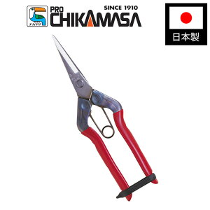 yGg[P5{zߐ T-550S Xe 뒼n BP  Eʗp np XeXn | ΂ oT~  K[fjO { Y RpNg ₷ _ |