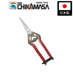 yGg[P10{zߐ T-55SKF XeXR BP | ؉p Eʗp | P[Xt ΂ oT~  K[fjO { Y RpNg ₷ _ |