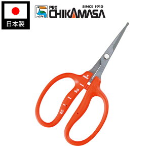 yGg[P5{zߐ B-500SLMF XeԂǂ Ȑۃtb\ np ̉ʃnT~ nnT~ n Ԃǂ Ȑn n₷ { Y RpNg ₷ _ | ݂ 