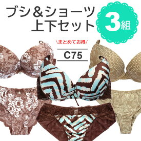 【C75】3組 3点 3枚 ブラ ショーツ 上下 セット おまとめ 複数 バラエティ モールドカップ Tシャツブラ シームレス プリント 柄モノ レース