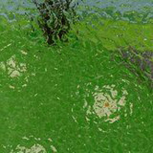 3M XRb`eBg EBhEtB DC000 KXptB  118.0cmy1m(10)ȏŐؔz