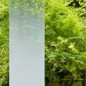 3M t@T KXVF[h SH2FGIM-G C~iEObZ 127.0cmy1m(10)ȏŐؔz