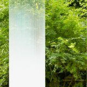 3M t@T KXVF[h SH2FGTG icMj 127.0cmy1m(10)ȏŐؔz