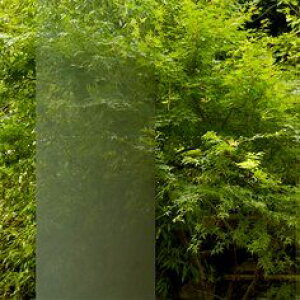 3M t@T KXVF[h SH2SIIM C~iEtNg(Vo[) 127.0cmy1m(10)ȏŐؔz