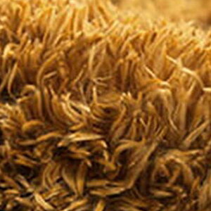 y撅zN[|zO J[ybg 185×185cm 􂦂 @ ې VM[O n  }CNt@Co[ ۉH ~ g[Ή zbgJ[ybgΉ 킢  