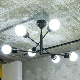 シーリングライト デボンリモート LED電球セット 6灯 リモコンセット 照明器具 天井照明 照明 ライト おしゃれ 北欧 カフェ リビング 寝室 モダン ダイニング 間接照明 TIC インダストリアル 西海岸 北欧 TC-1014-BK-R