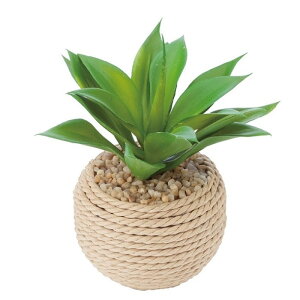 ϗtA  [v|bg A[eBtBV tFCNO[ A AWA R q   CeA