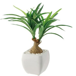 ϗtA  zCgXNGA|bg A[eBtBV tFCNO[ 퐻  CeA