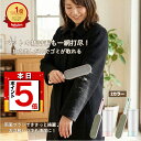 【本日限定 P5倍】洋服ブラシ 18cmワイド ハンディクリーナー ブルー ピンク 毛取り ゴミ捨て簡単収納ケース付きで衛…