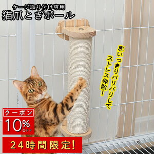 y1 10%OFFzL ܂Ƃ R ی^|[ P[Wp [v ؐ  ₷芴G c^ ȃXy[X ȒPt gd^Cv ɂ֗ Vv킢 \t@