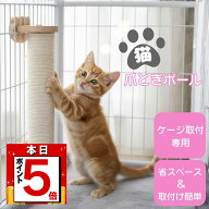 【本日限定 P5倍】猫 爪とぎ 麻紐 丸型ポール ケージ用 ロープ巻き 木製 おしゃれ やすり感触 縦型 省ス…
