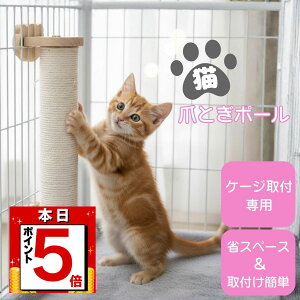 y{ P5{zL ܂Ƃ R ی^|[ P[Wp [v ؐ  ₷芴G c^ ȃXy[X ȒPt gd^Cv ɂ֗ Vv킢 \t@