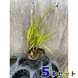 IEStE`\E (m) 10.5p 5{ 10.5p OhJo[@@G\h