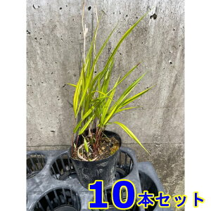 IEStE`\E (m) 10.5p 10{ 10.5p OhJo[@@G\h