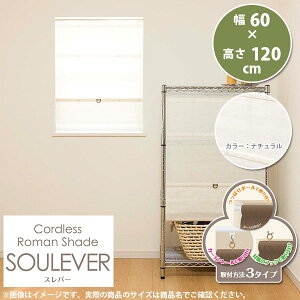 �R�[�h���X ���[�}���V�F�[�h �X���o�[ ��60 × ����120cm �J���[�F�i�`������ L6152 1��