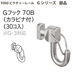 �g�[�\�[ �s�N�`���[���[�����i G�t�b�N70B(�J���r�i�t) 30�� 793467