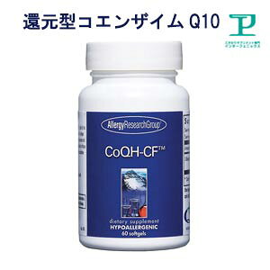 [AM[Ή]Ҍ^RGUC(rLm[) Tvg IWo̍z1100mg 60`20x2yRGUCQ10/yf/Zx/Oet[/AM[T[`/Tv/A