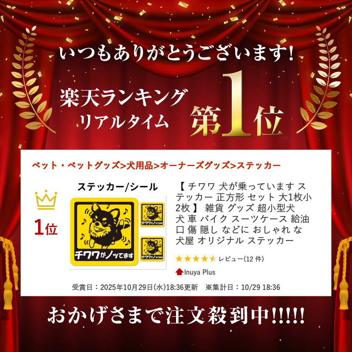楽天市場】【 チワワ 犬が乗っています ステッカー 正方形 セット 大1