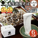ギフト プレゼント 生そば 高級 食べ物 蕎麦 そば 出雲そば 6人前【八割本生そばとろろセット】二八そば 八割そば 大和芋 とろろ 山掛け 送料無料 お取り寄せ グルメ ざる 贈答用 お祝い 誕生日 贈り物 日本三大そば 島根 奥出雲 伝統