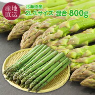 グリーンアスパラ (北海道産) 2L/Lサイズ混合 800g (アスパラガス本数の目安 21〜33本) 北海道 アスパラ …