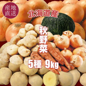 kC H ňb5Zbg v9kg Ⴊ (j݂,L^AJ)/ʂ˂/ڂ/ɂ񂶂 kC H lߍ킹 Zbg H  _ƒ yz\̔(10{