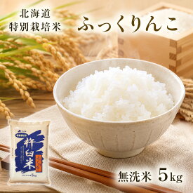 新米予約 特別栽培 ふっくりんこ 無洗米 5kg令和8年 北海道産 特A ふっくりんこ 白米 減農薬 特別栽培米 精米 5キロ 北海道 きなうすファーム 農家直送 お米 令和8年産 北海道産米 2026年産 送料無料