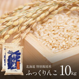 【数量に限りがございます】 特別栽培 ふっくりんこ 玄米 10kg (5kg×2袋) 令和6年 北海道産 特A ふっくりんこ 玄米 減農薬 特別栽培米 玄米 10キロ 北海道 きなうすファーム 農家直送 お米 令和6年産 北海道産米 2024年産 送料無料