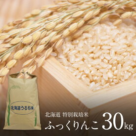 【クーポンで5％OFF★6/4 20時から】 特別栽培 ふっくりんこ 玄米 30kg 1袋 令和5年 北海道産 特A ふっくりんこ 玄米 減農薬 特別栽培米 玄米 30キロ 北海道 きなうすファーム 農家直送 お米 令和5年産 北海道産米 2023年産 送料無料