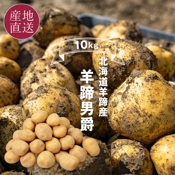 楽天市場】(出荷中) 北海道 羊蹄産 じゃがいも 男爵 10kg Lサイズ  