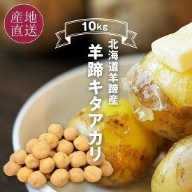 北海道 羊蹄産 じゃがいも キタアカリ 10kg Lサイズ 北海道 羊蹄山の麓の豊かな土壌や気候の恵みをもらって育った北あかり お取り寄せ 北海道 ジャガイモ 秋 野菜 【送料無料】