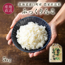 新米 農家直送 米 ふっくりんこ 白米 5kg 5キロ 北海道 浦臼町産 米 菅原農園お米 令和8年産 北海道産米 2026年産【送料無料】