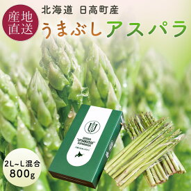 【早割300円クーポン配布中】北海道 日高町 うまぶしアスパラ 2L/Lサイズ混合 アスパラガス 800g 日高町 スリービレッジファーム ハウスアスパラ 北海道 お取り寄せ グリーンアスパラ ギフト 贈り物 農家 直送【送料無料】 ※熨斗・包装不可
