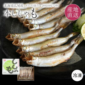 お歳暮 北海道産 本ししゃも オスメス20尾セット オス(10g-20g/尾) メス(10g-13g/尾) Lサイズ 各10尾北海道広尾町で水揚げされた味も大きさも満足の本ししゃも御歳暮 柳葉魚 シシャモ ギフト 鏑木水産【送料無料】