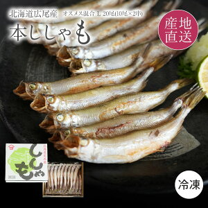 ySiꗥ|Cg5{11/16܂ŁzΕ kCY { IXX20Zbg IX(10g-20g/) X(10g-13g/) LTCY e10kCLŐgꂽ傫̖{