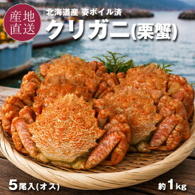 お中元 クリガニ 栗蟹 北海道産 姿 ボイル 冷凍 殻付き 5尾 計1kg 1尾あたり約180g～220g 海鮮 ジェネリック毛蟹 カニ 北海道で漁獲し、北海道で加工 殻付き サイズ不揃い 蟹 ジェネリック毛蟹 母の日 父の日 お中元 御中元 ギフト【送料無料】