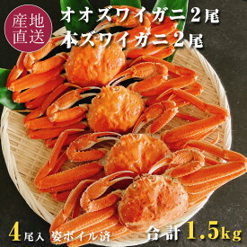 オオズワイガニ 本ズワイガニ 食べ比べセット 4尾 計1.5kg 北海道産オオズワイ(2尾) カナダ産本ズワイ(2尾) 姿 ボイル 冷凍 オオズワイ ズワイ蟹 殻付き 海鮮 ギフト 御歳暮 バルダイ種 サイズ若干不揃い 蟹 送料無料