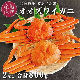 オオズワイガニ 北海道産 姿 ボイル 冷凍 オオズワイ ズワイ蟹 殻付き 2尾 計800g 海鮮 バルダイ種 カニ 北海道で漁獲し、北海道で加工 殻付き サイズ不揃い 蟹 ズワイガニ ボイル お歳暮 御歳暮 【送料無料】