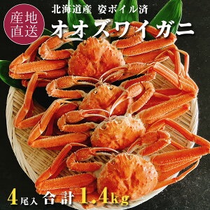 IIYCKj kCY p {C Ⓚ 4 v1.4kg CN Jj Mtg  kCŋlAkCŉH kt IIYC YCI TCY኱s I YCKj o_C 