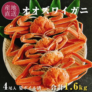IIYCKj kCY p {C Ⓚ 4 v1.6kg CN Jj Mtg  kCŋlAkCŉH kt IIYC YCI TCY኱s I YCKj {C o_